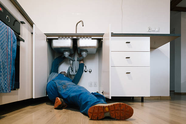 Professional Plumbing technician working in Linden, AZ